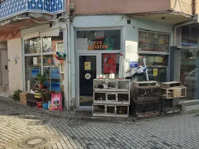 Albatros Akvaryum