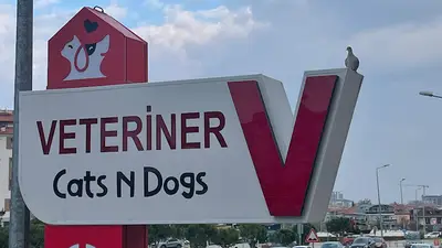 Ozan Veteriner Kliniği