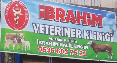Eroğlu veteriner kliniği