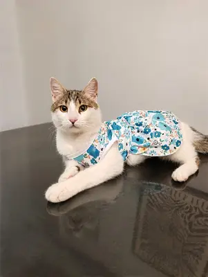 Tek Dostum Veteriner Kliniği