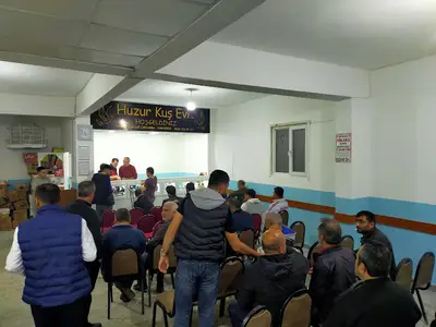 Kuş Yuvası
