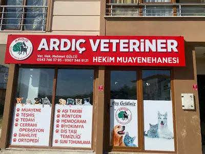 Ardıç Veteriner Kliniği