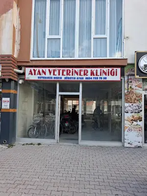 Ayan veteriner kliniği