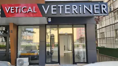 Veteriner Hekim Çağlayan Çığ