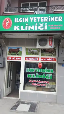 Veteriner Hekim Ünal Akif Yeşilyurt