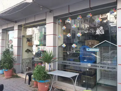 Petshop Su Akvaryum