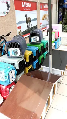 Burak Kurt KÖPEK GEZDİRME PANSİYON fotoğrafı