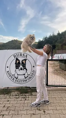 Bursa Köpek Koçu