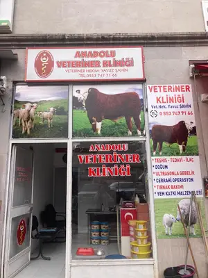 Güler veteriner klinği