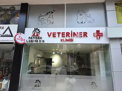 Patişah Veteriner Kliniği Antalya fotoğrafı