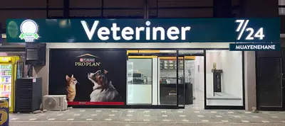 Demirtaş Veteriner Kliniği | 7/24 Acil Veteriner | Nöbetçi Veteriner | Demirtaş Veteriner | Osmangazi Veteriner fotoğrafı