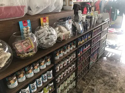 Şanslı Petshop Pet Kuaför Beylikdüzü