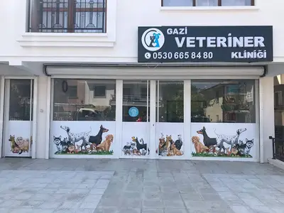 Ankara Gazi Veteriner Kliniği fotoğrafı