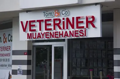 Tom&Co Veteriner Kliniği