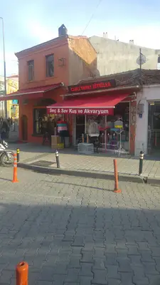 Seç & Sev Kuş ve Akvaryum