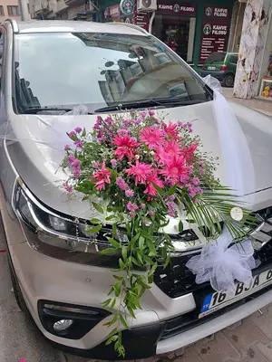 Körfez Veteriner Kliniği fotoğrafı