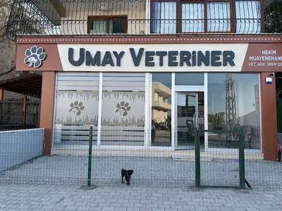 Umay Veteriner Kliniği