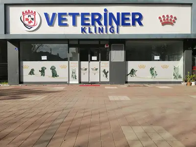 Vet Castle Veteriner Kliniği
