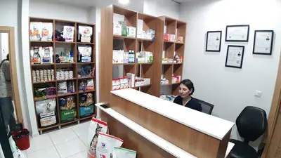 Huzur veteriner kliniği