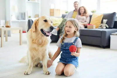 Çetin Pet Store