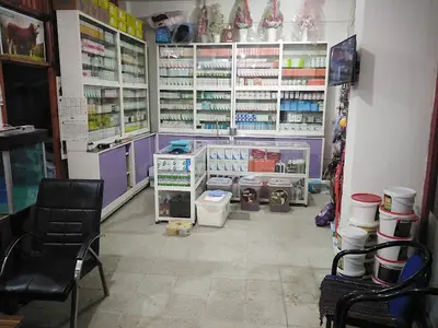 Bereket Veteriner Kliniği