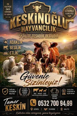 Keskinoğlu hayvancılık fotoğrafı