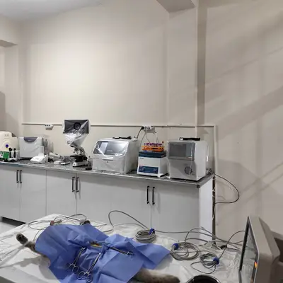 Gül Veteriner Kliniği