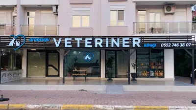 Arapsuyu Veteriner Kliniği fotoğrafı