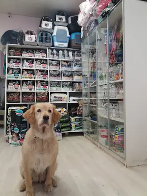 Doğan Veteriner Kliniği fotoğrafı