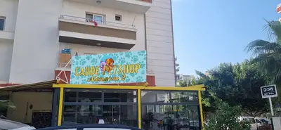 Cadde Pet Kuaför