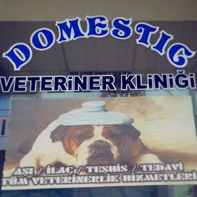 Torbalı Domestic Veteriner Kliniği - Vet. Hek. Mustafa Yavaş fotoğrafı