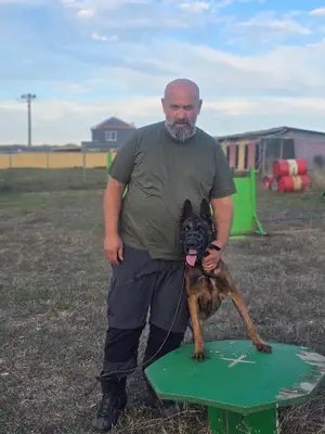 Sky Dogern Malinois fotoğrafı