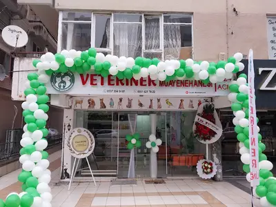 Can Dostum Veteriner Kliniği fotoğrafı