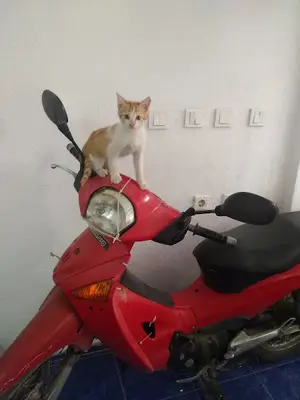 Akropol Veteriner Kliniği