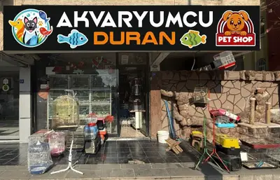 Akvaryumcu Duran