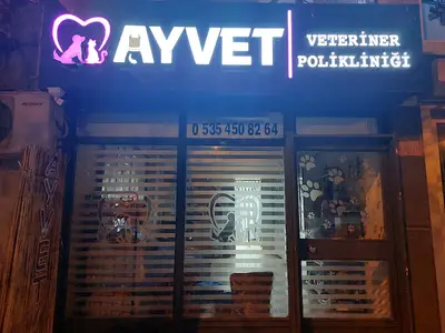 Karesi Veteriner