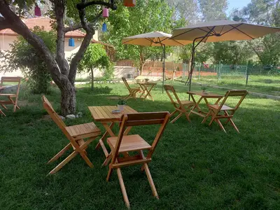 ANKAPET AKADEMİ fotoğrafı