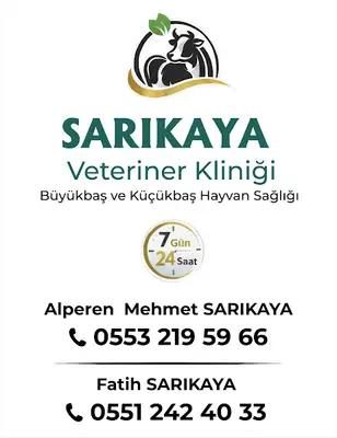 Sarıkaya Veteriner Kliniği fotoğrafı