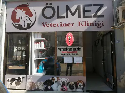 ARSLAN VETERİNER KLİNİĞİ