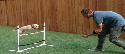 Fırat Köpek Eğitim fotoğrafı