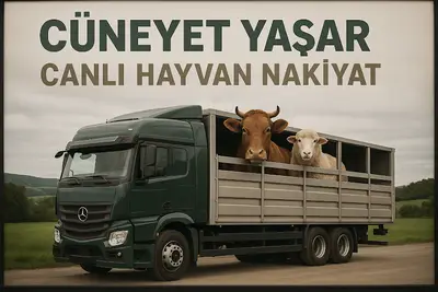 CÜNEYT YAŞAR CANLI HAYVAN NAKLİYAT fotoğrafı