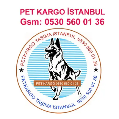 musa pet kargo istanbul fotoğrafı