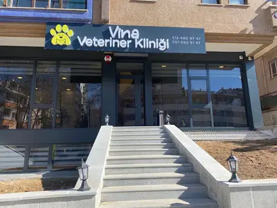 Dikmen Vina Veteriner Kliniği