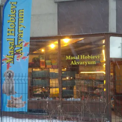 Masal HOBİ EVi - Petshop, Hediyelik Eşya, Takı ve Aksesuar
