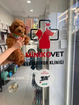 Minikovet veteriner kliniği