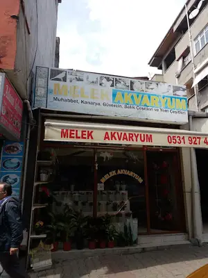 Melek Akvaryum