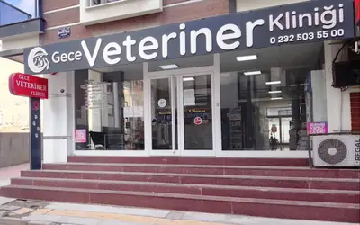 Gece Veteriner Kliniği