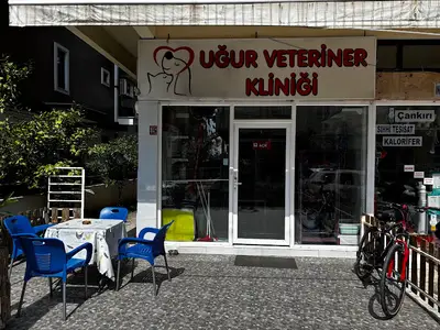 Uğur Veteriner Muyenehanesi