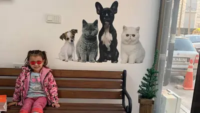 Torbalı Pika Veteriner Kliniği