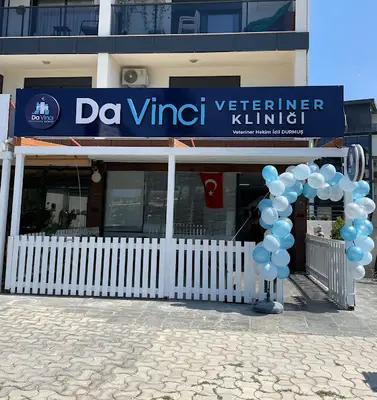 Da Vinci Veteriner Kliniği